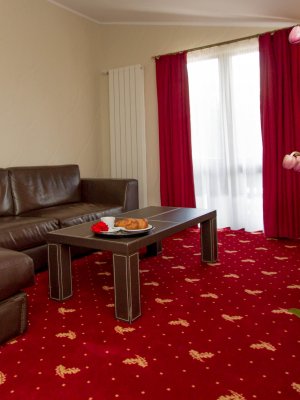 apartament cu pat twin si canapea extensibila vedere partie (11) apartament cu pat twin si canapea extensibila vedere partie (11)