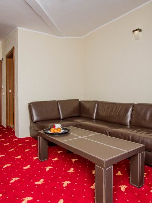 apartament cu pat twin si canapea extensibila vedere partie (12) apartament cu pat twin si canapea extensibila vedere partie (12)