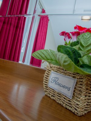 apartament cu pat win si canapea extensibila vedere partie apartament cu pat win si canapea extensibila vedere partie