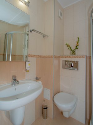 baie apartament cu pat twin (1) baie apartament cu pat twin (1)